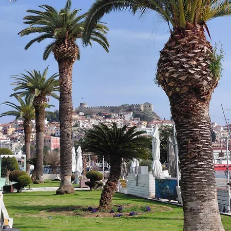 Simply Like * Kavala